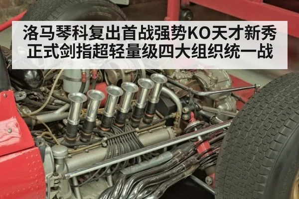 洛马琴科复出首战强势KO天才新秀 正式剑指超轻量级四大组织统一战